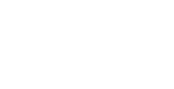 fino vegajó