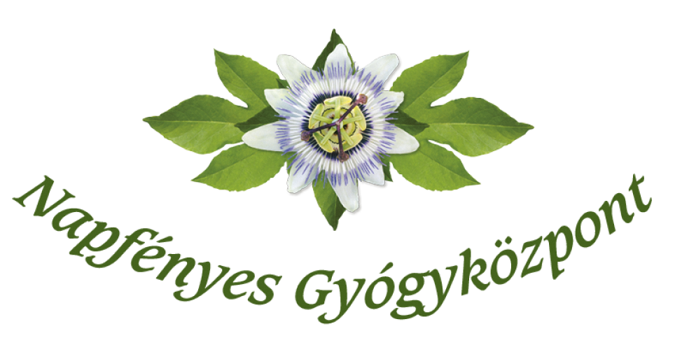 napfényes gyógyközpont logó vegan summit